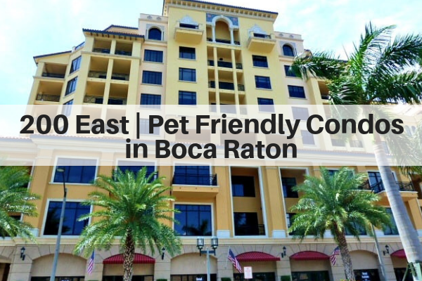 Pet Friendly Florida Condos